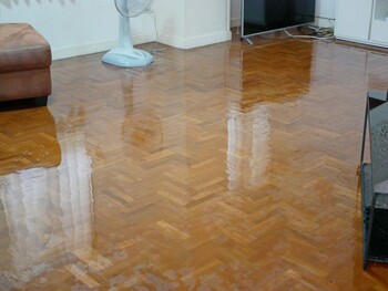 House Flooding Restoration by Quick 2 Dry LLC