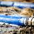 South Vienna Sewage Cleanup by Quick 2 Dry LLC