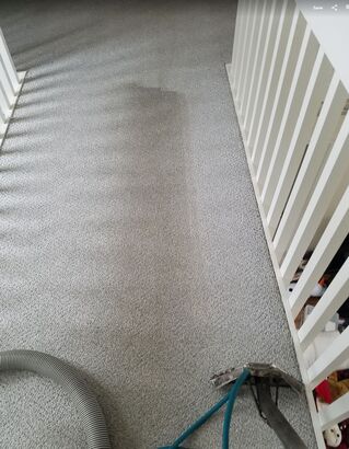 Before & After Carpet Cleaning in Columbus, OH (1)