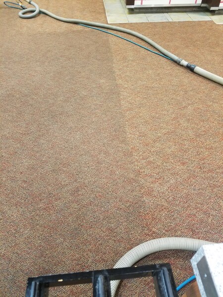 Commercial Carpet Cleaning in Colombus, OH (5)