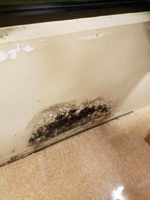 Mold Remediation in Columbus, OH (1)