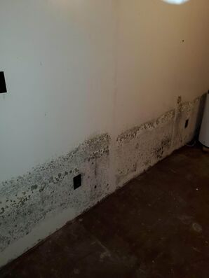 Mold Remediation in Colombus, OH (3)