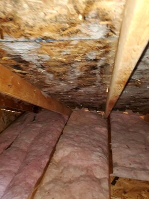 Before & After Mold Remediation in Colombus, OH (1)