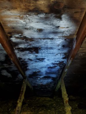 Attic Mold Removal in Grove City, OH (2)