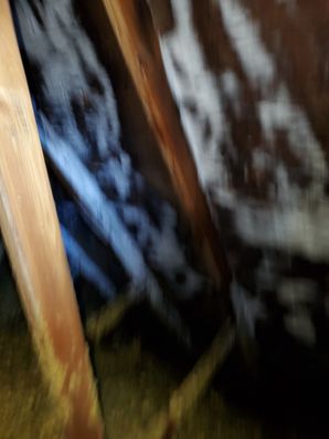 Attic Mold Removal in Grove City, OH (3)