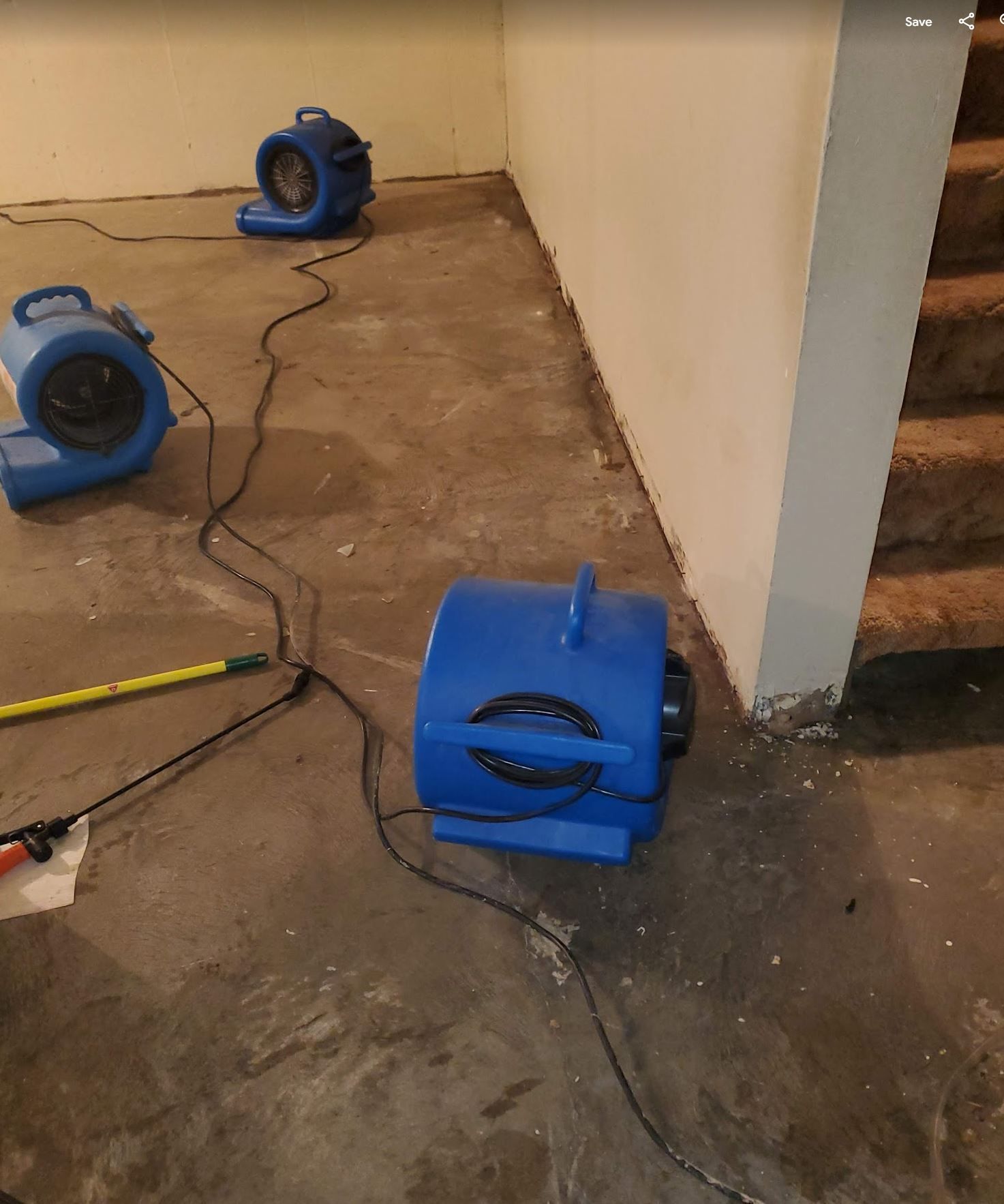 How Mold Grows After Water Damage and Why Speed Matters